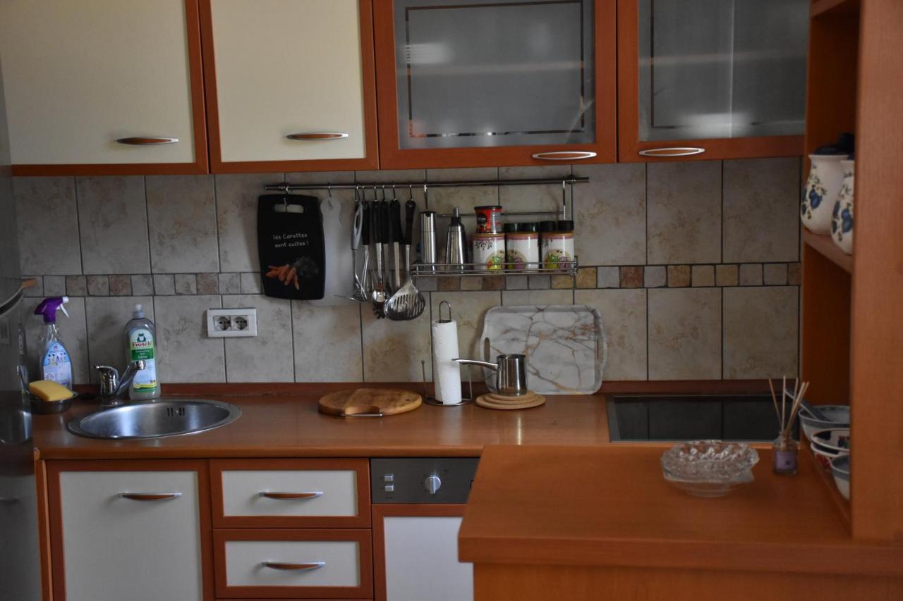 Apartment Music-Center, In The Center Of Podgorica Eksteriør billede